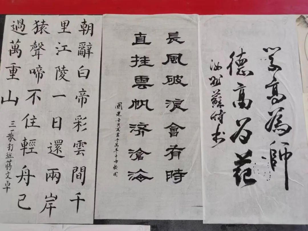 忆旧岁龙腾虎跃创佳绩 望新春大展鸿图铸辉煌(图13)